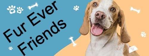 Fur Ever Friends